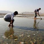 For millennia men avoided crossing the Taklamakan Desert; today China raises fish there