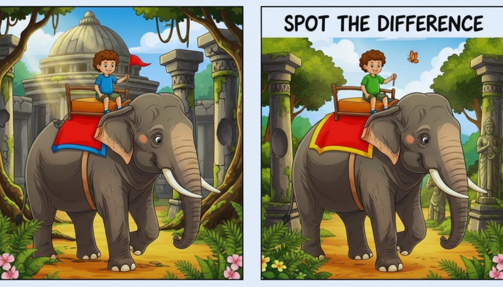 Spot the Difference Puzzle