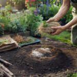 I stopped using a compost bin after learning this method—and the garden has never looked better