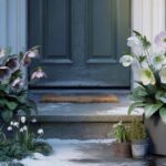 One simple plant choice, and my front step became the most admired