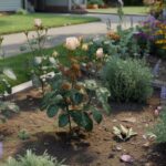 If your flowers attract pests year after year, the balance is already broken