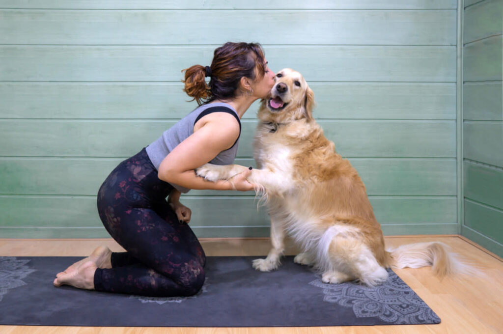 6b7a2b774492cc17ed56b3cb5aec79ca