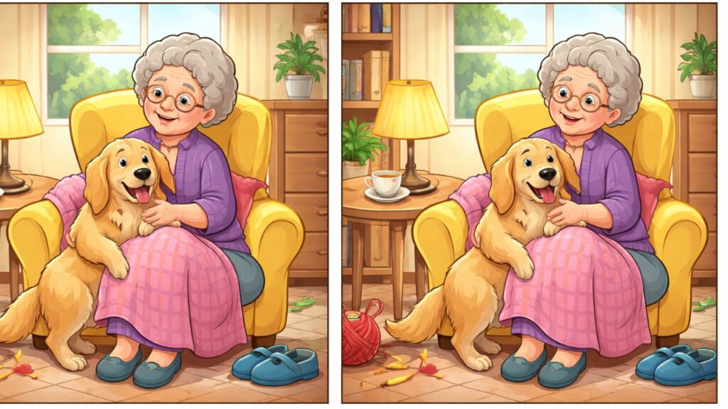 8-Second Challenge: Spot 3 Differences
