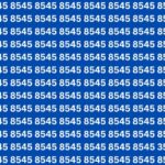 Optical Illusion Challenge: Can You Find the Hidden Number 3554 Before the Timer Runs Out