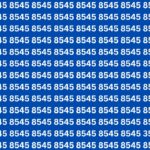 Optical Illusion Challenge: Can You Find 3554 Before Time Runs Out