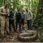 Amazon rainforest: Rare 7.5-metre giant anaconda unexpectedly filmed during Will Smith documentary expedition deep inside unexplored jungle