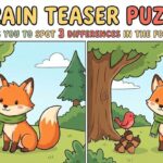 Brain Teaser Puzzle Challenges You to Spot 3 Differences in the Fox Images Before Time Runs Out
