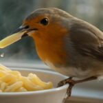 RSPCA Urges Gardeners to Place One Simple Kitchen Staple Outside to Help Robins Survive Harsh Weather