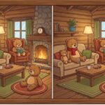 Spot the Difference Challenge: Test Observation Skills With the Bear Puzzle