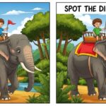 Observation Game: Spot the Hidden Differences Between Two Elephant Pictures Before Time Runs Out