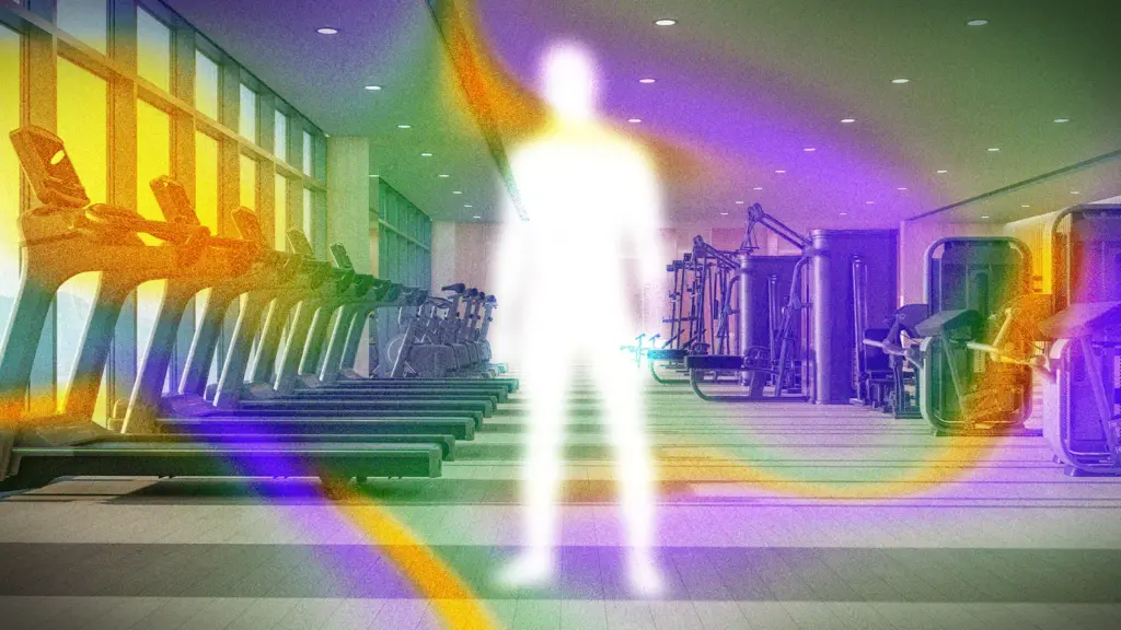 quitting the gym for a year