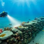 This 7,000-year-old stone wall found off the coast of France may be the work of hunter-gatherers